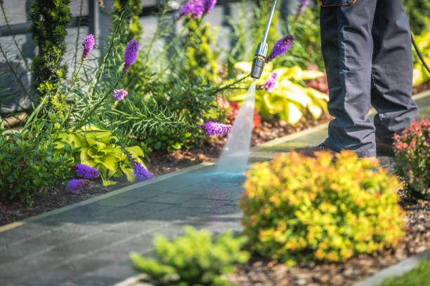 Best Gutter Cleaning  in Benavides, TX